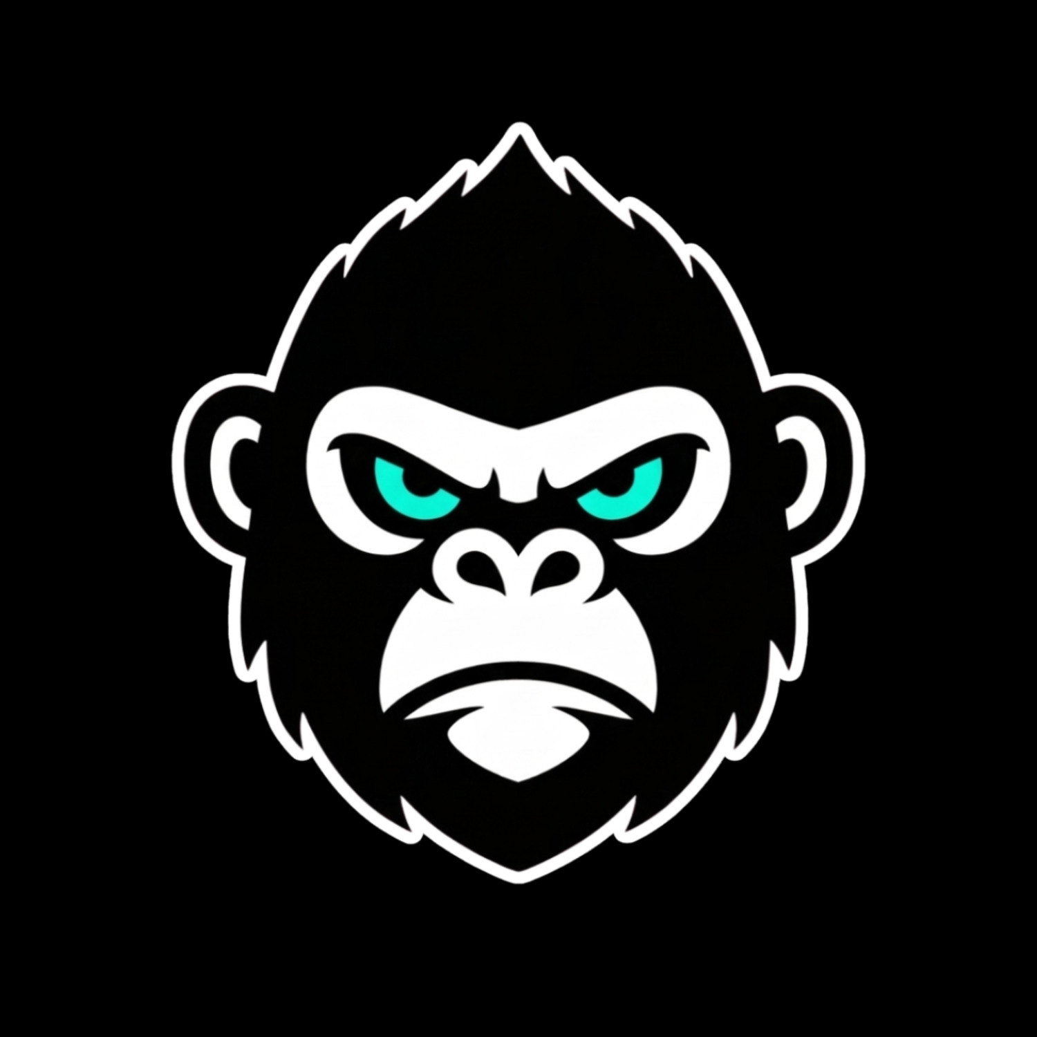 Streetwear & Apparel